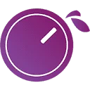 Plum Audio
